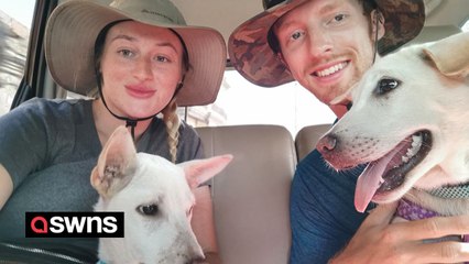 "We fell in love with two puppies in Bali and need £5k to bring them home"