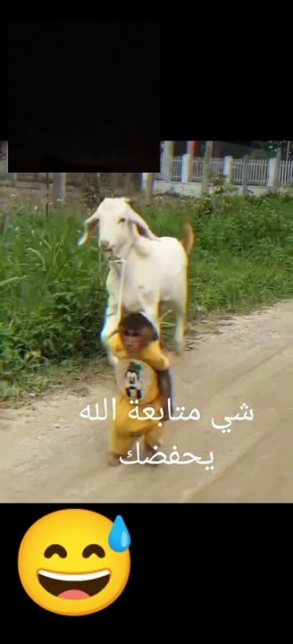 حيوانات واطفال