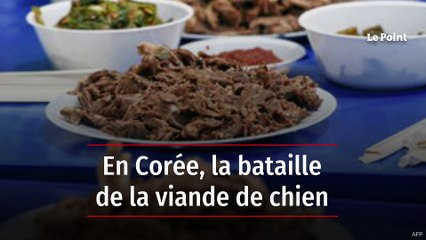 En Corée, la bataille de la viande de chien