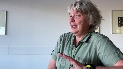 Cllr Sarah Mansel speaks of 'hard decision' over solar farm