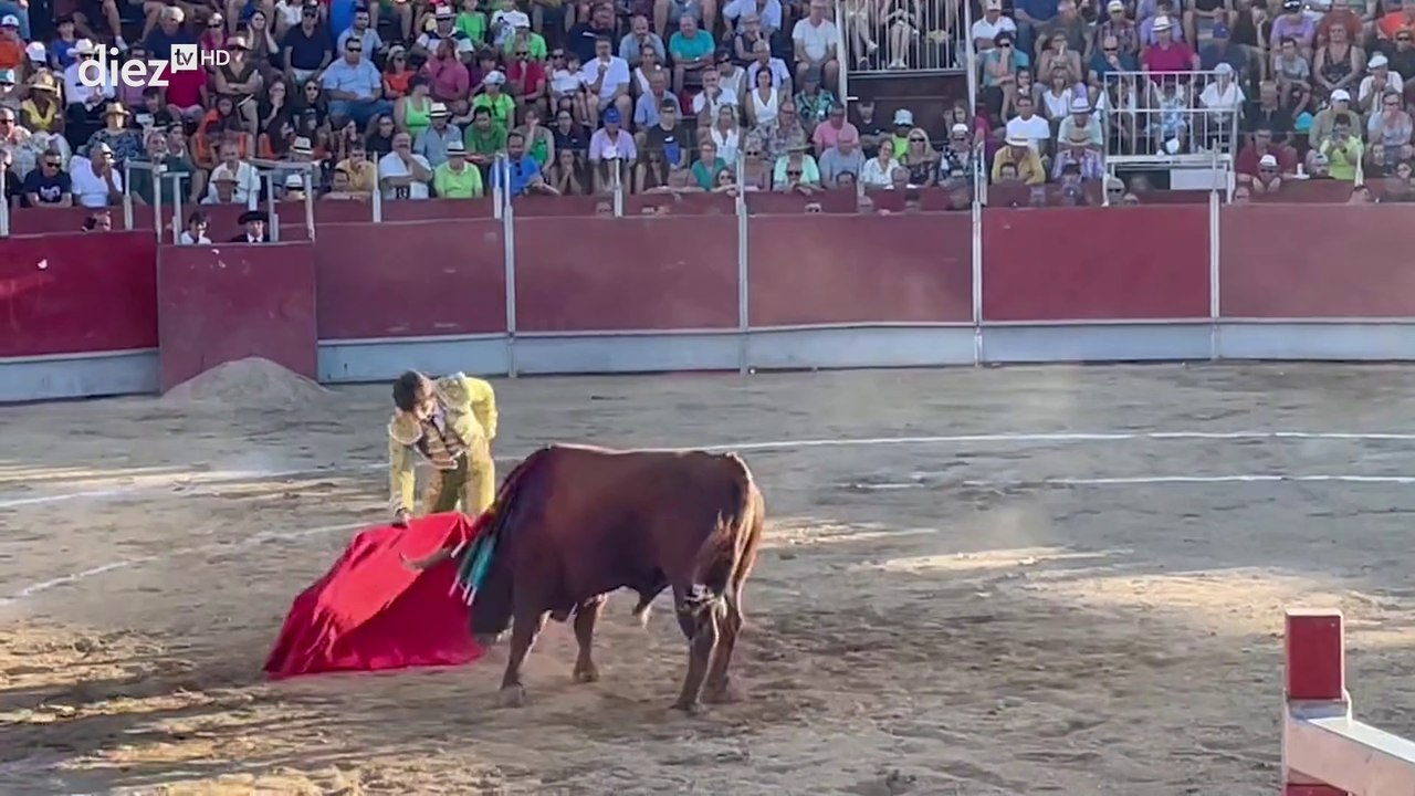 Tendido Diez