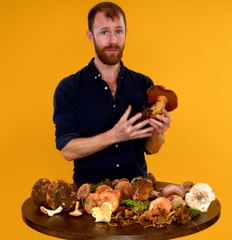 Quels sont les champignons à éviter lors d'une cueillette en forêt ?