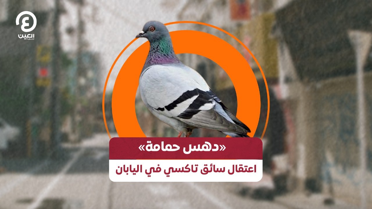 "دهس حمامة".. اعتقال سائق تاكسي في اليابان