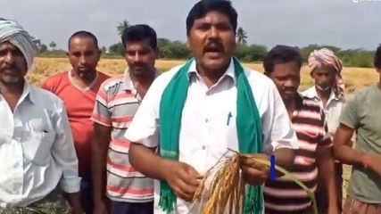 ఏలూరు జిల్లా: రైతు కంట కన్నీళ్లు... ఆదుకోవాలంటూ...