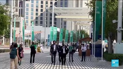 French climate activists travel to COP28 without plane