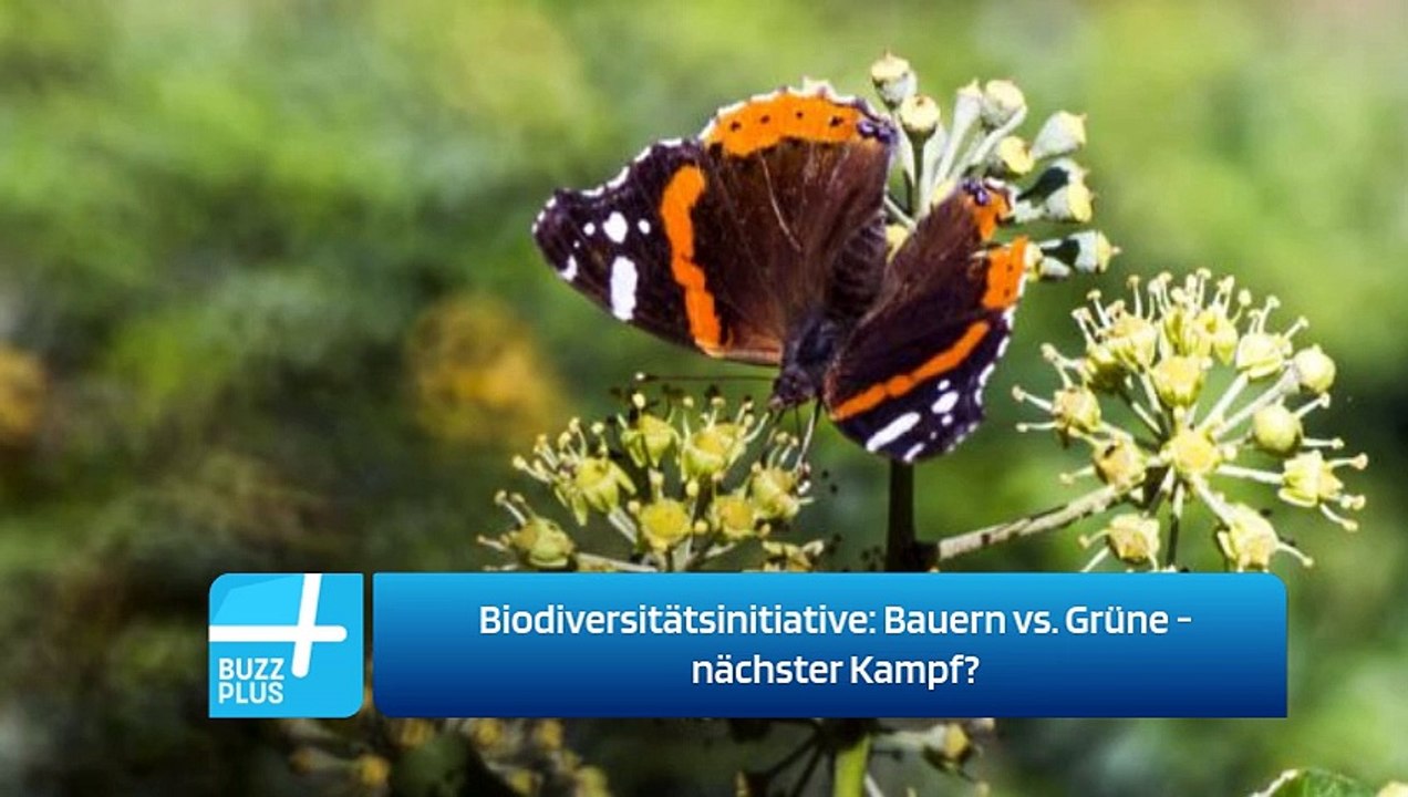 Biodiversitätsinitiative: Bauern vs. Grüne - nächster Kampf?