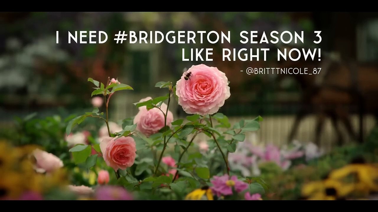 Bridgerton - staffel 3 Ankündigung OV