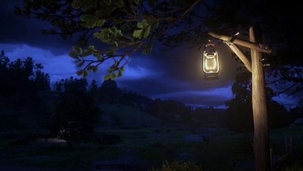 ضوء  ليل  هدوء