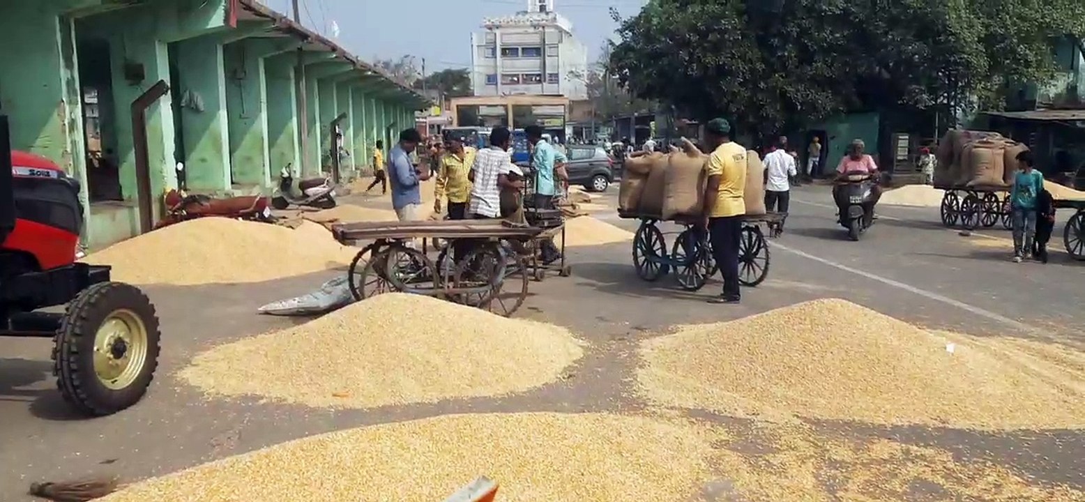 सोयाबीन के भावों में कमी, भूमिपुत्रों में मायूसी