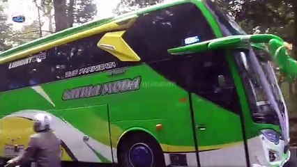 BUS ARTIS TELOLET BASURI BUS OLENG FENOMENAL SANJAYA TRANS, SATRIA MUDA, WARGA BARU, ARJUNA SAMBA