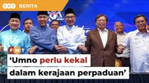 Survival Umno bergantung kejayaan kerajaan perpaduan, kata penganalisis