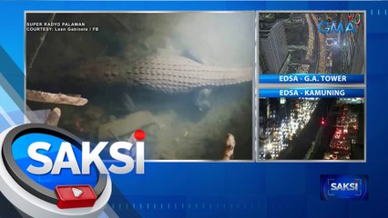 Crocodile Spotted Along Residential Area in Bataraza, Palawan 🐊