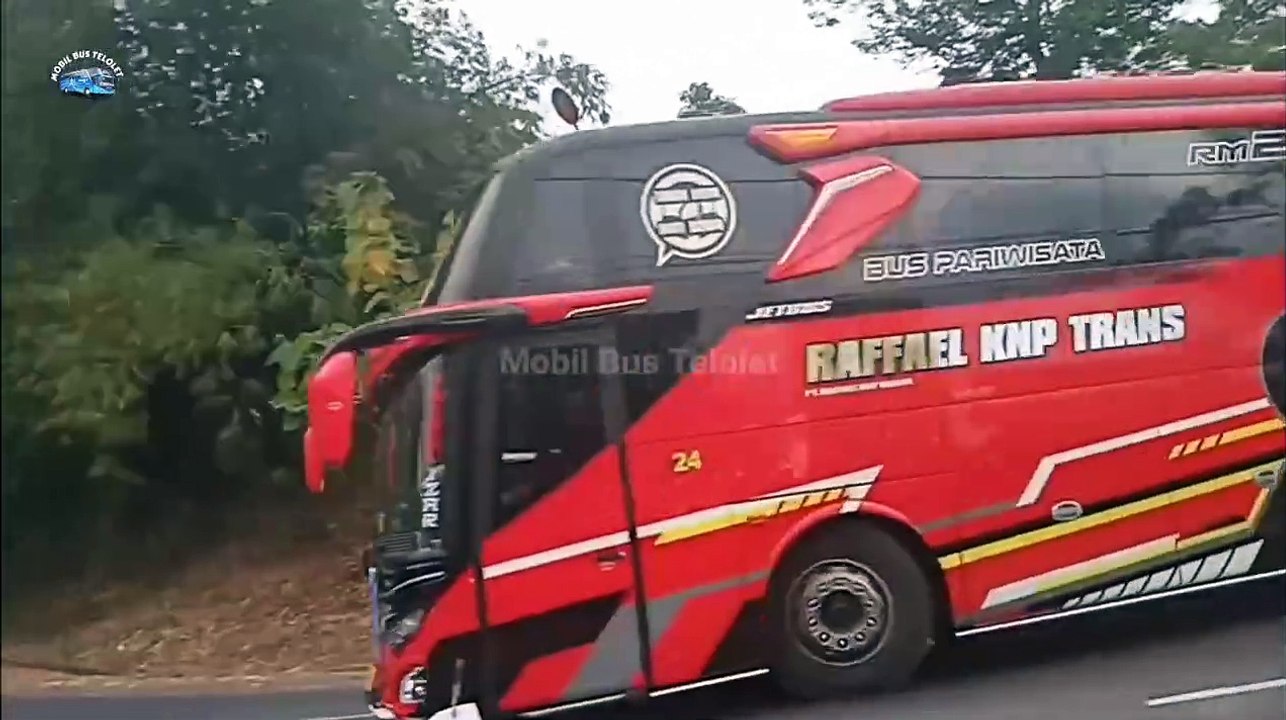 Wheels on the Bus _ Cocomelon Nursery Rhymes & Bus Songs New