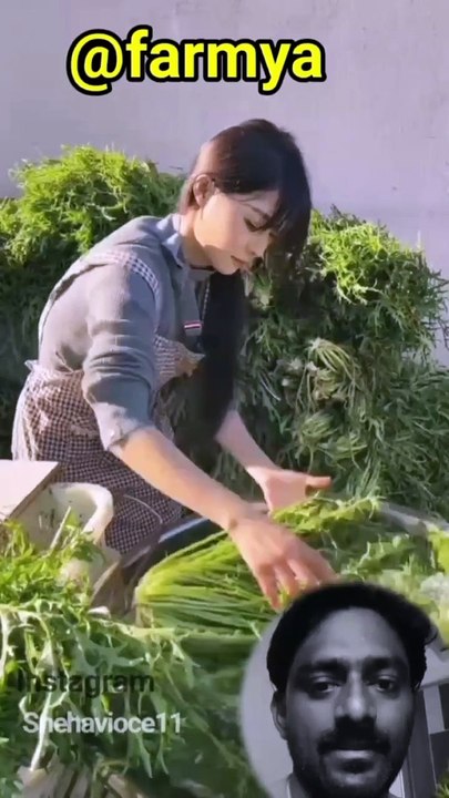 Prepare To Make Pickle  Part-14⛏️⚒️#viral #youtubeshorts #short #satisfying #sanatandharma