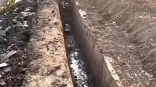 Digging Ditches For lrrigation Pati-14 ⛏️ #satisfying #short #viral #sanatandharma #nature #fruit