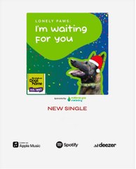 Lonely Paws dance challenge Christmas song