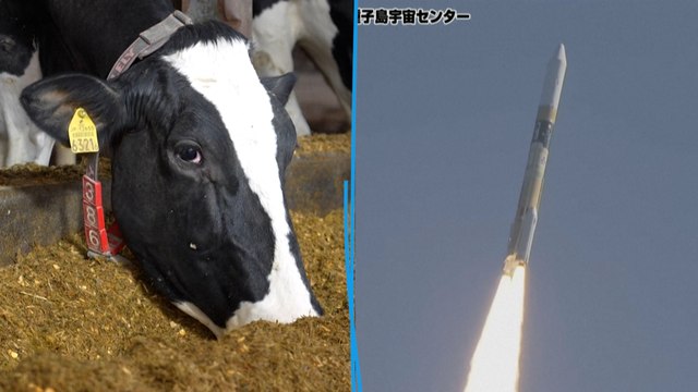 Au Japon, un moteur de fusée alimenté par des bouses de vaches