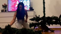 Cat gives her owner a hard time when she sets up the Christmas Tree