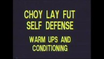 Choy Lay Fut Kung Fu: Volume 14- Self-Defense with Instructor Tat-Mau Wong