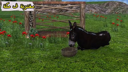 قصة معجزة إحياء الله لسيدنا العزير علية السلام