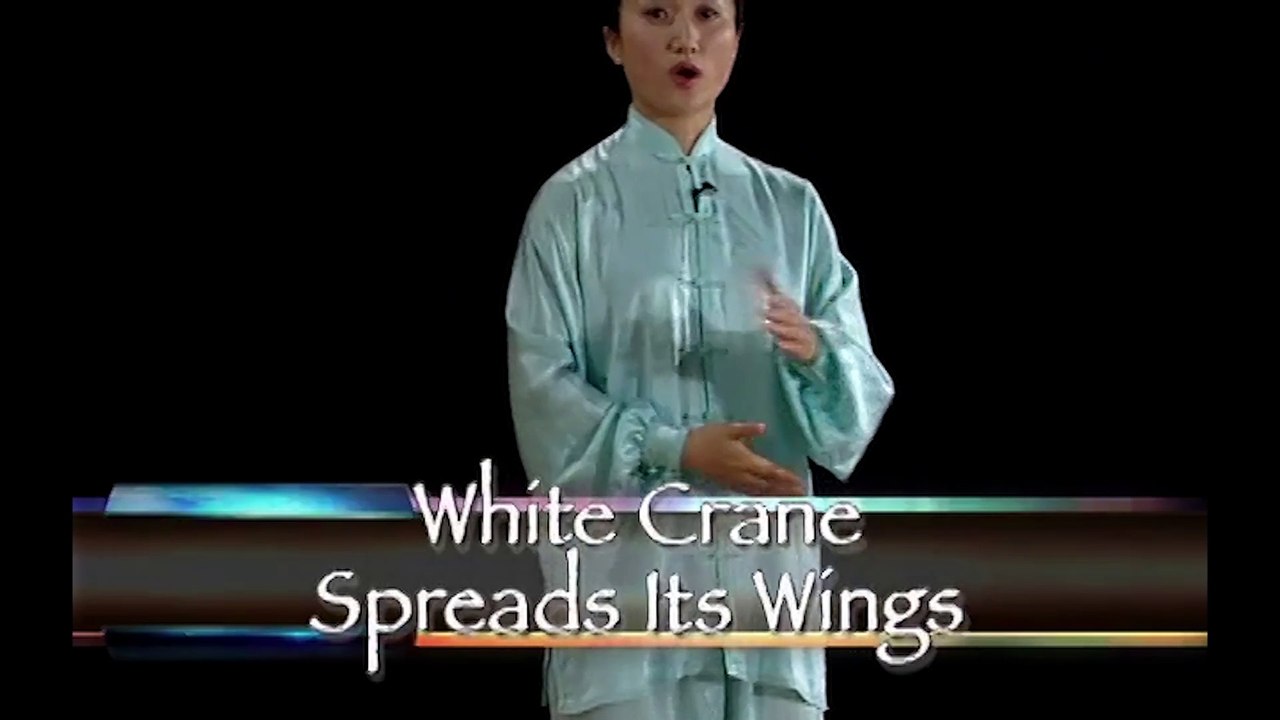 Li Jing Wushu and Tai Chi: Volume 5- Yand 24 Movement and Self-Defense