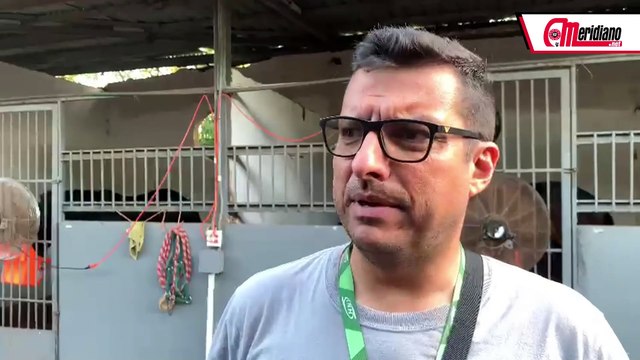 Así comenta Ramón García Mosquera sobre sus ejemplares desde Panamá