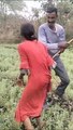 Video.... In land dispute, bullies rained blows on a minor along with