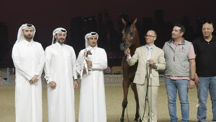 AR OOV ARABIAN HORSE & HORSE2 071223