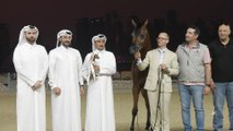 AR OOV ARABIAN HORSE & HORSE2 071223
