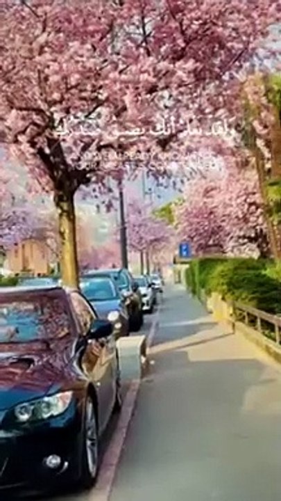 قران