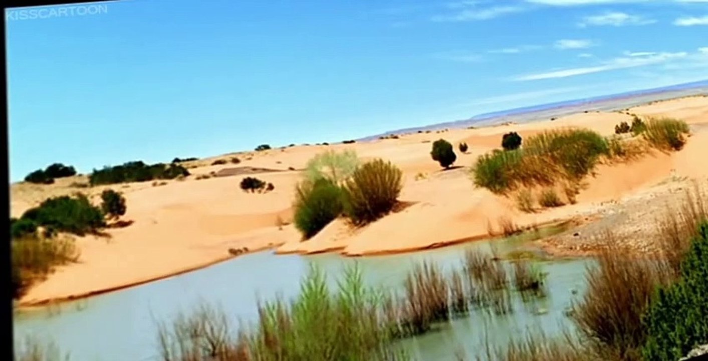 Walking with Beasts Walking with Beasts E003 – Land of Giants