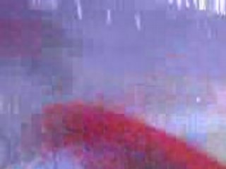 Finale psg lens fête après la victoire