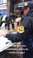 Perrito deja en shock a cibernautas al comer pollo a la brasa como almuerzo: "Come mejor que yo"