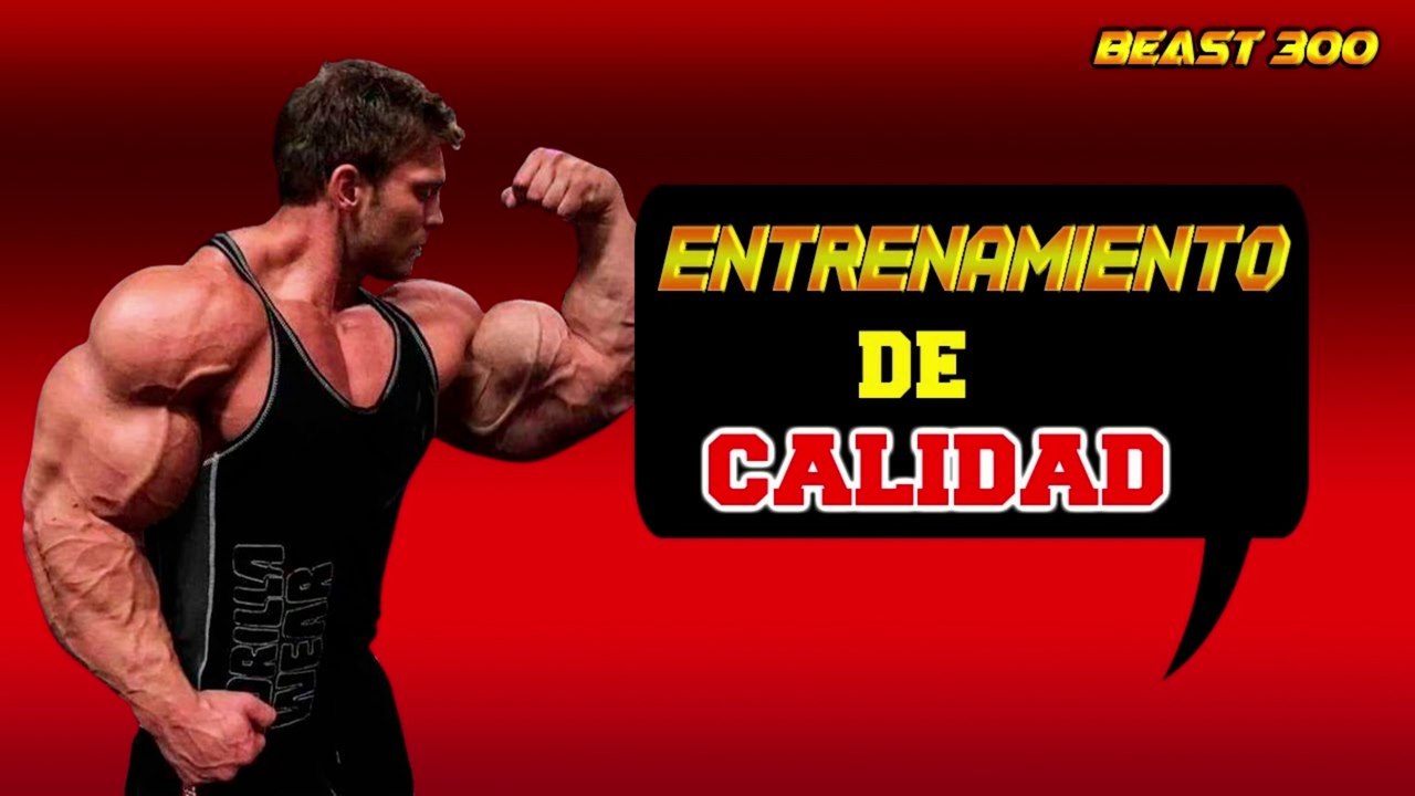 ENTRENAMIENTO DE CALIDAD ( BEAST 300 )