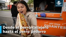 Estos son los hot dogs mas perros de Coapa, llegan a medir hasta medio metro