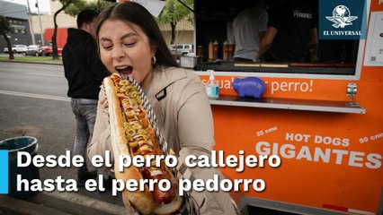 Estos son los hot dogs mas perros de Coapa, llegan a medir hasta medio metro