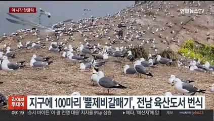 [핫클릭] "손자손녀 도움받았듯"…94세 할머니가 건넨 봉투 外