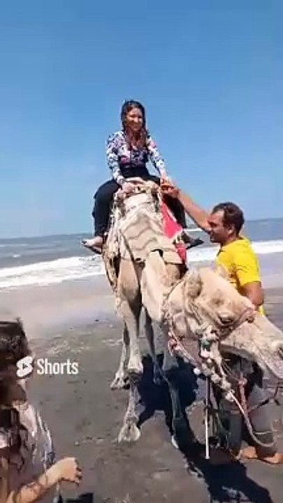 فتاة تركب جمل مصري من شدة خوفها شاهد ماذا فعلت