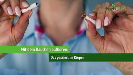 Nikotin-Wirkung Darum werden Raucher süchtig