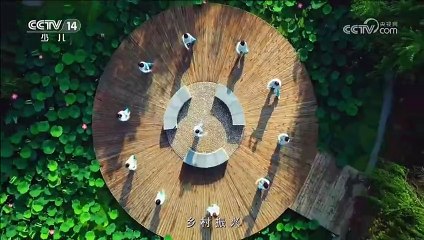 CIERRE DE TRANSMICIONES DE CCTV 14 KIDS CHINA