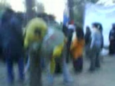 Tribal circus / krs teuf du 29/03/08