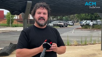 Artist Marley Dawson confronts criticism on Albury's Big Log