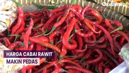 Descargar video: Harga Cabai Rawit Makin Pedas, Tembus Rp90 Ribu per Kg