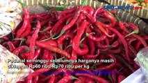 Harga Cabai Rawit di Yogyakarta Tembus Rp90 Ribu per Kg