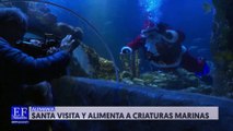 Santa Claus se sumergió para entregar regalos a las criaturas marinas