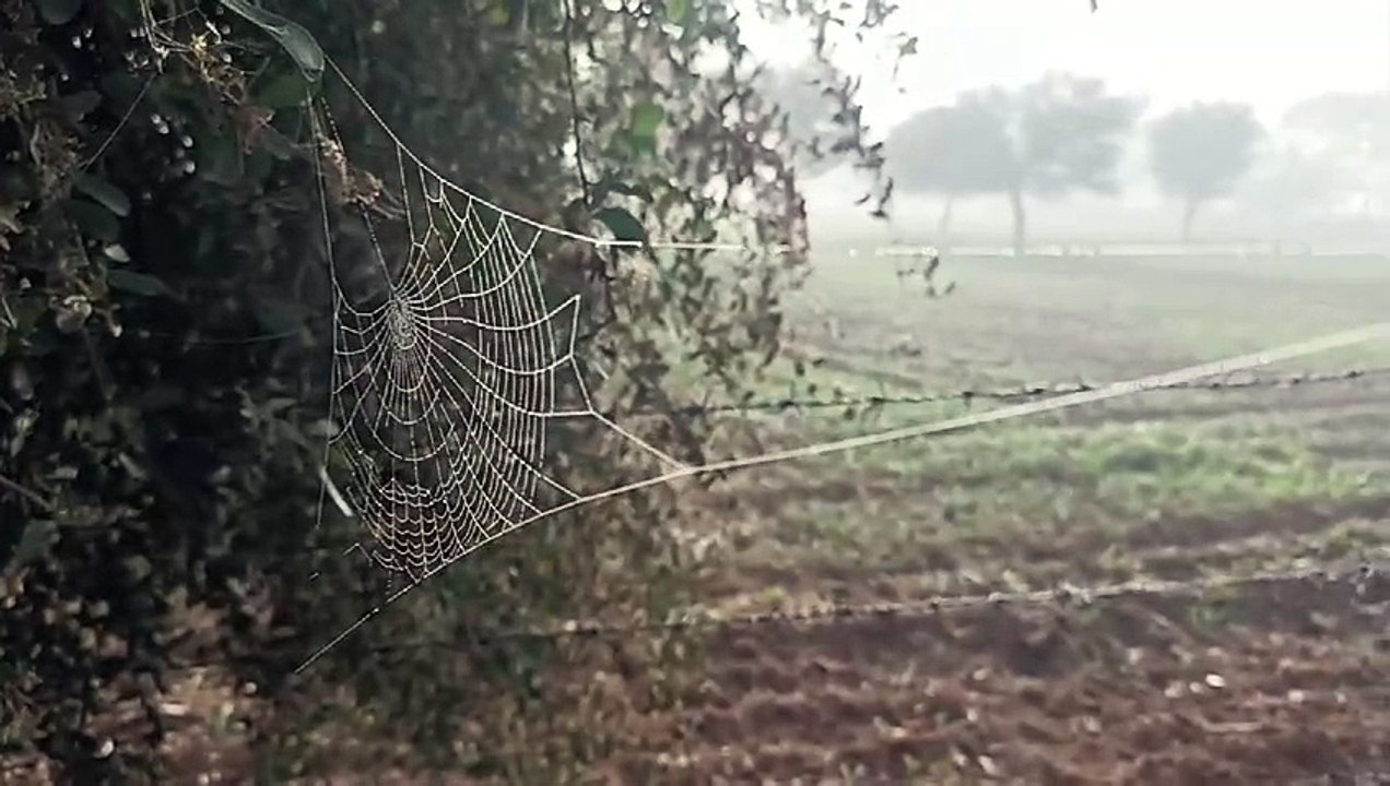 शेखावाटी में पारा न्यूनतम स्तर पर, सर्दी की जद...