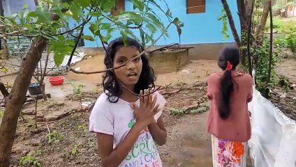 Michaung Cyclone ने सब बर्बाद कर दिया  | मिचौंग चक्रवात का असर झारखंड में | Michaung Cyclone Update