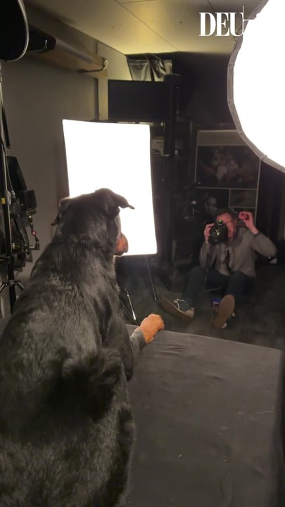 Les conseils d'un pro pour photographier vos animaux de compagnie