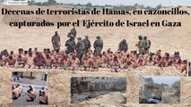 Decenas de terroristas de Hamas, en cazoncillos, capturados  por el  Ejército de Israel en Gaza