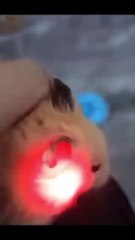 Funny animal videos on Instagram Tiktok #shorts #funnyanimals #مضحك